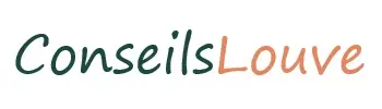 Logo Du Loisir au Business - Conseils Louve - Coaching pour entrepreneuses créatives.